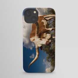 Opinion iPhone Case