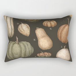 Pumpkins and Gourds Rectangular Pillow