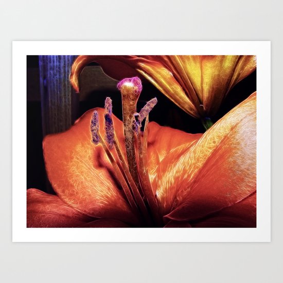Lily Glow Art Print