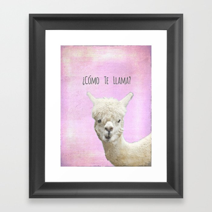 Lama Framed Art Print