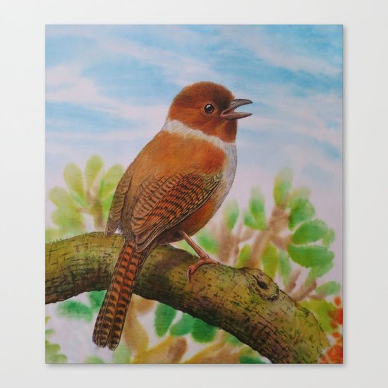 A Brown Bird Canvas Print