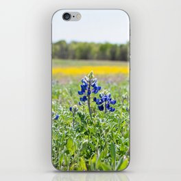 Closeup of Bluebonnet blooms with yellow flowers in background iPhone Skin