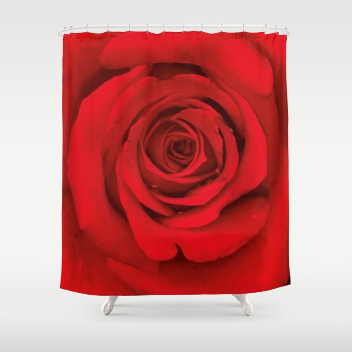 Lovely Red Rose Shower Curtain By Lagdameov Society6