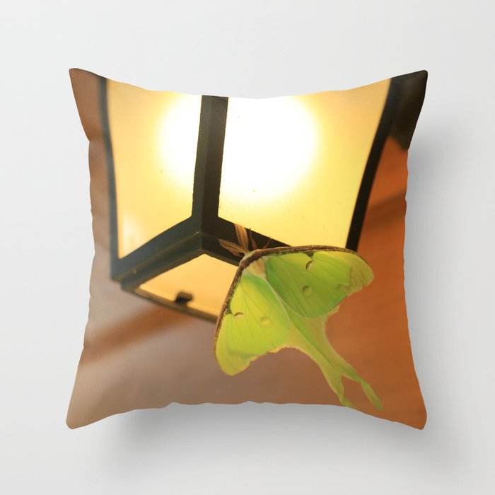 Luna Moth in Northern Vermont Throw Pillow