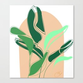 PLANT WALL Canvas Print
