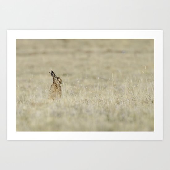 Brown hare Art Print