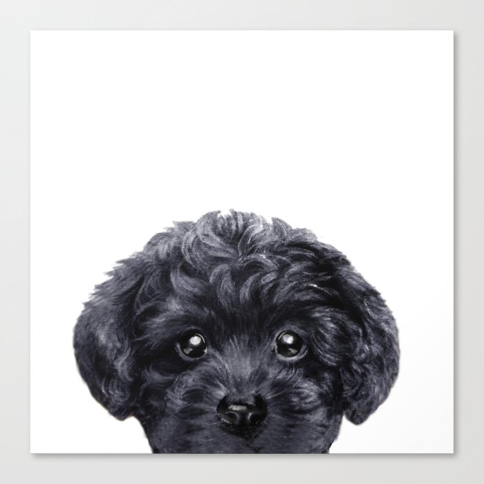 black poodle painting