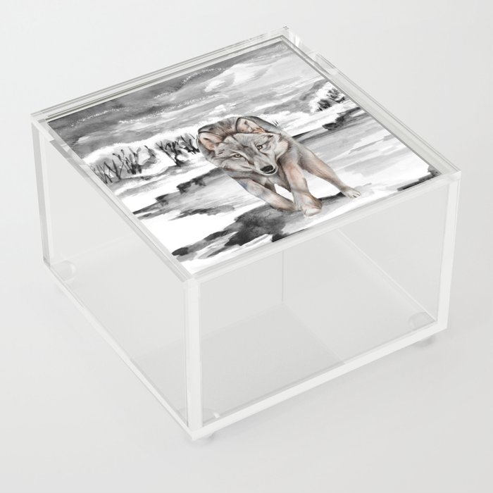 Woodland Forest 13 Wolf Acrylic Box
