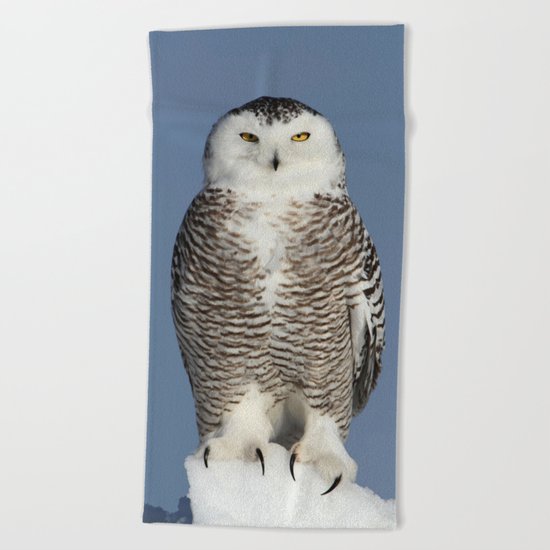 Tip of the iceberg Beach Towel