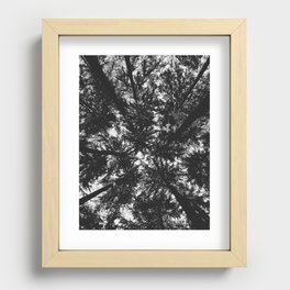 View Under the Canopy Recessed Framed Print