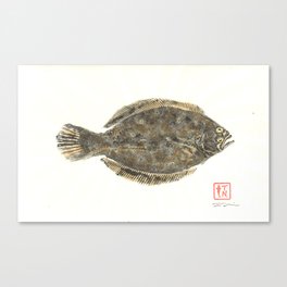 Southern Flounder - Color Canvas Print
