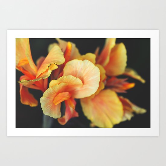 Like Velvet Art Print