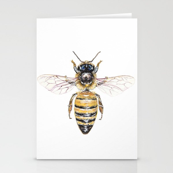 Apis mellifera, the banded muse Stationery Cards