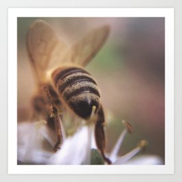 Bee-hind Art Print