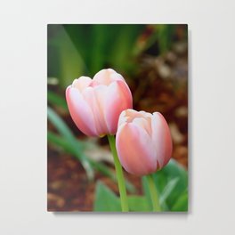 Pink Tulips for Spring Metal Print