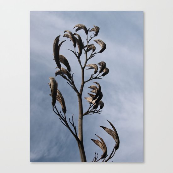 SCULPTURAL SEEDHEADS Canvas Print