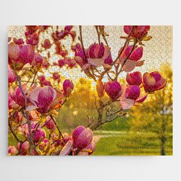 Magnolia in the spring Jigsaw Puzzle