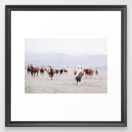 Wild horses Framed Art Print | Photo, Horse, Group, Wild, Digital, Color, Curated, Animal, Countryside 