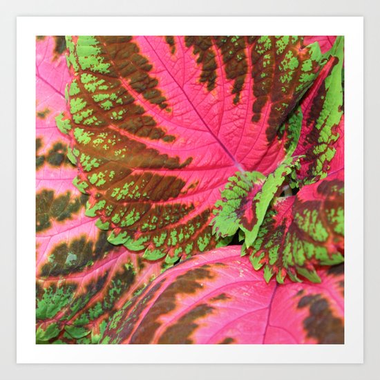 Pink & Lime Leaves Art Print