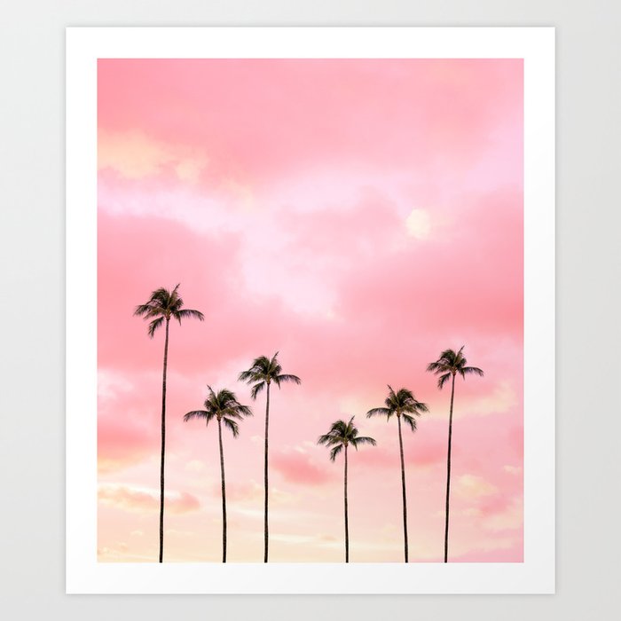 Palm Trees Photography | Hot Pink Sunset Sky Art Print