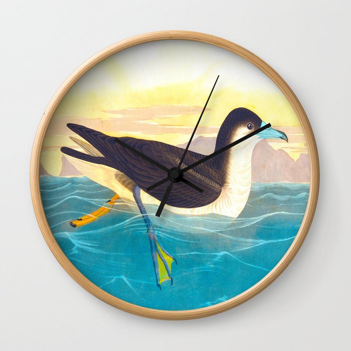 Dusky Petrel Bird Wall Clock