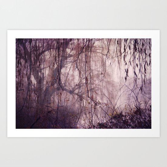 Willow Art Print