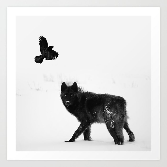 Lone wolf Art Print