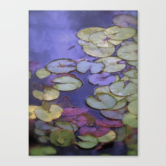 Deep Purple Water Lilies Canvas Print