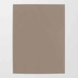 Dark Brown Pink Solid Color Pairs Pantone Stucco 16-1412 TCX Shades of Brown Hues Poster