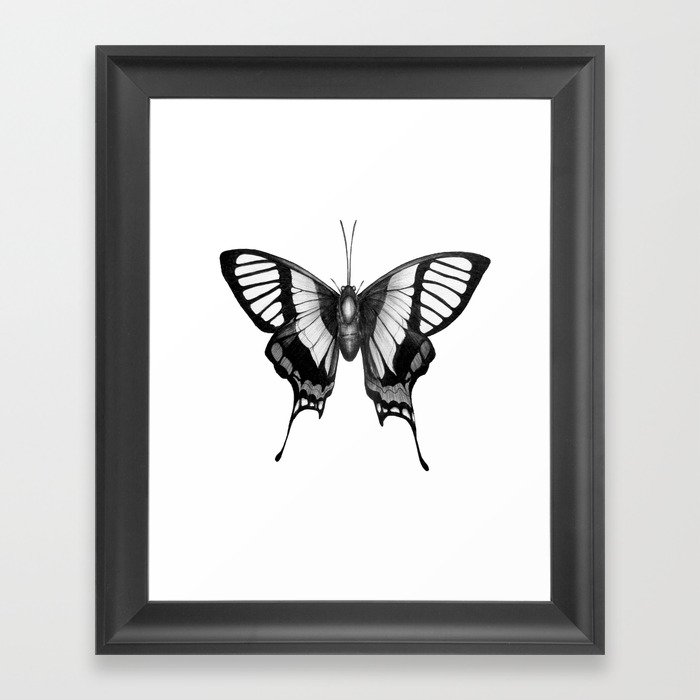 Butterfly Wings Framed Art Print