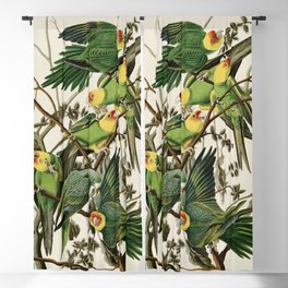 Carolina Parrot - John James Audubon's Birds of America Print Blackout Curtain