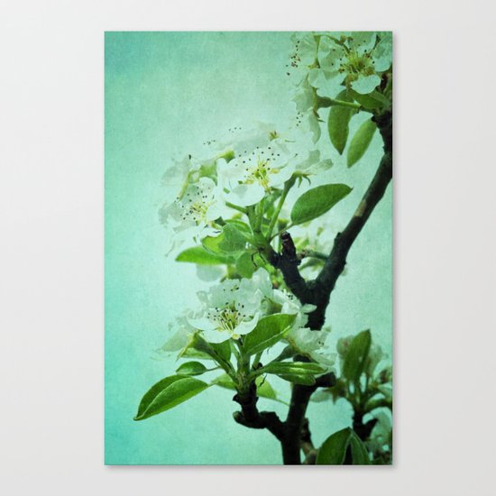 under the pear tree Canvas Print