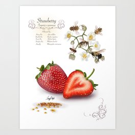 Strawberry and Pollinators Art Print