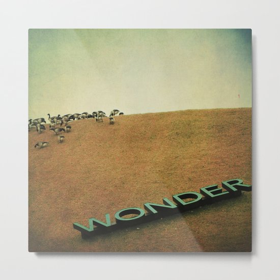 The Geese of Wonder Hill Metal Print