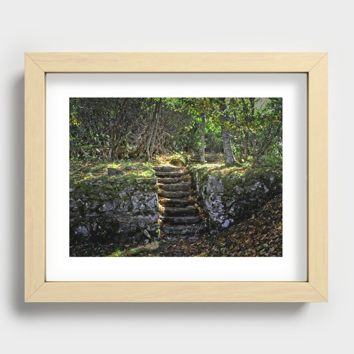 Forest Stairway Recessed Framed Print