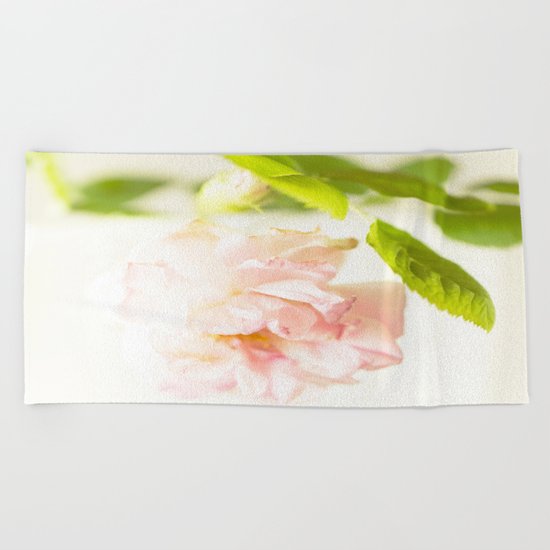 Romantic Soft Pink Rose Beach Towel
