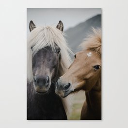 Happy Horses | Colour Canvas Print