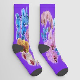 Combination of Orchids (1) Socks