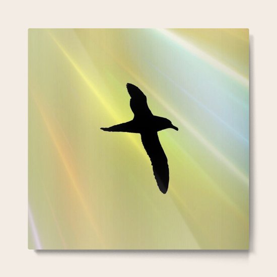 In the sun Metal Print