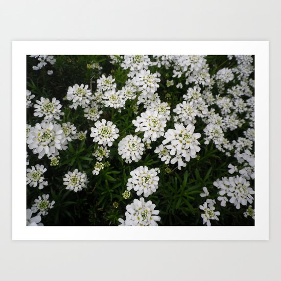 flower power Art Print