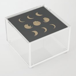 Cat Landscape 136: Cat Moon Acrylic Box