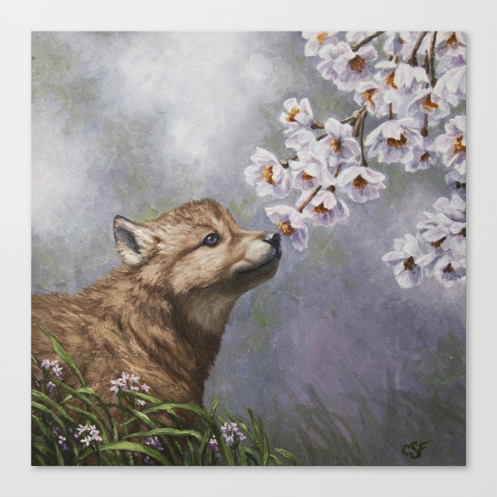 Wolf Pup and Spring Blossoms Canvas Print