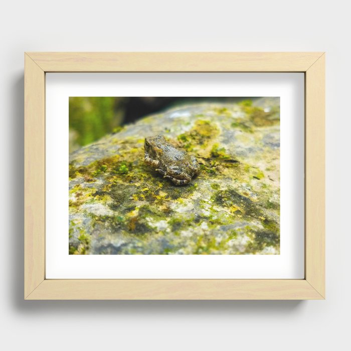 Little Frog Recessed Framed Print