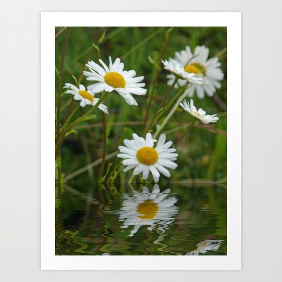 Daisy, daisy Art Print