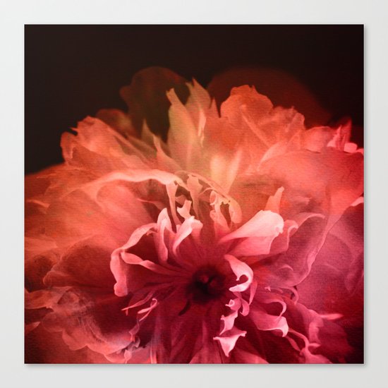 Dream Flower 8 Canvas Print