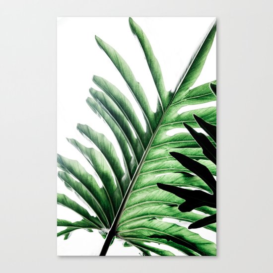 Leaves 2 Canvas Print