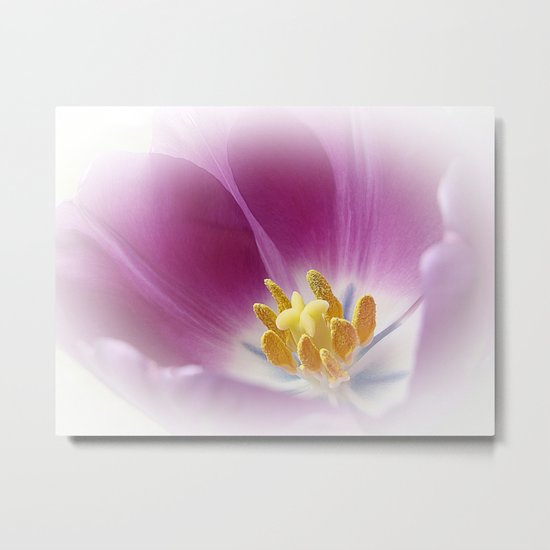 Tulpe Metal Print