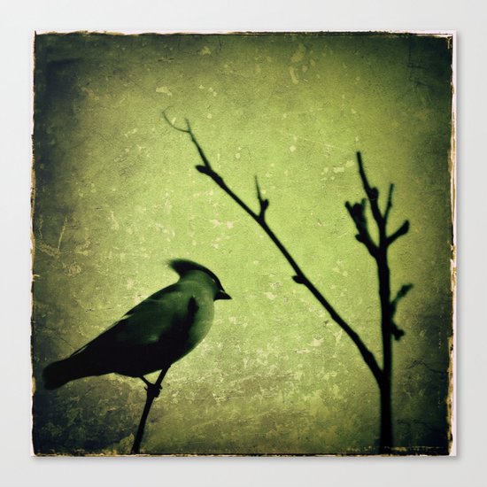 Waxwing Canvas Print
