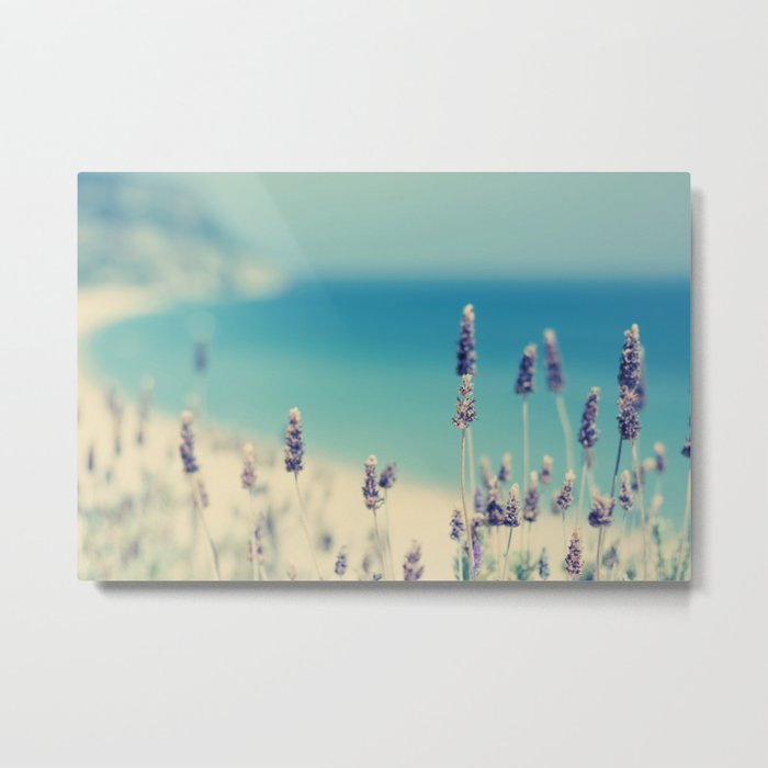 Beach - Lavender Blues - Flower Print - Ocean Sea photography by Ingrid Beddoes Metal Print