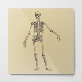 Skeleton Metal Print | Digital, Humanskeleton, Photo, Bones, Skull, Esqueleto, Anatomy, Humananatomy, Old, Huesos 